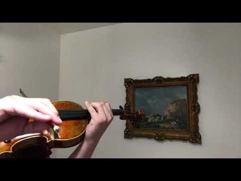Fine Italian labeled Violin Stefano Scarampella di Brecia Fece In Mantova 1855 image 26