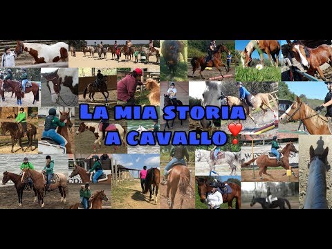 La mia storia a cavallo💝🏇🏻 | by GIULIA💁🏻‍♀️ || Western Riders