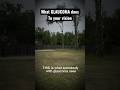 This is what glaucoma does to your vision