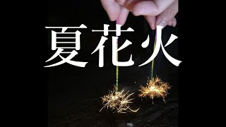 【オリジナル曲】　夏花火　高校生が本気で作りました。