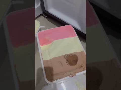 BELI ICE CREAM SEBANYAK INI 🙀
