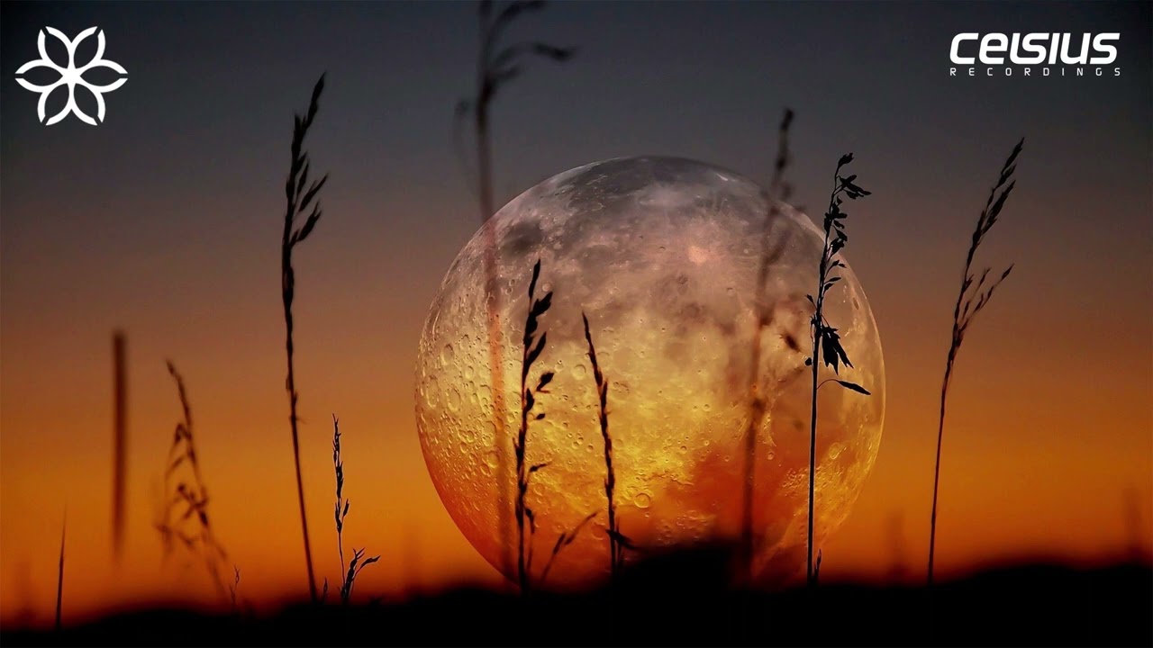 Altered Noise - Sanctuary