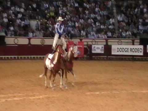 Max Reynolds Roman Riding - Rodeo Europe Tour