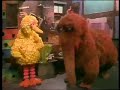 Classic Sesame Street Snuffy Sings Nose Cold Blues 1978