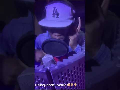 Délinquance juvénile