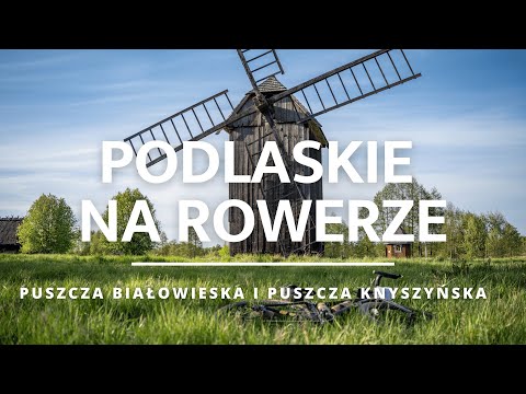 PODLASKIE na ROWERZE - PUSZCZA BIAŁOWIESKA i PUSZCZA KNYSZYŃSKA