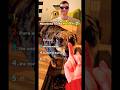 Top 5 Dogs Reactions To The Middle Finger