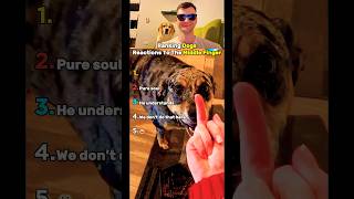 Download lagu Top 5 Dogs Reactions To The Middle Finger! mp3