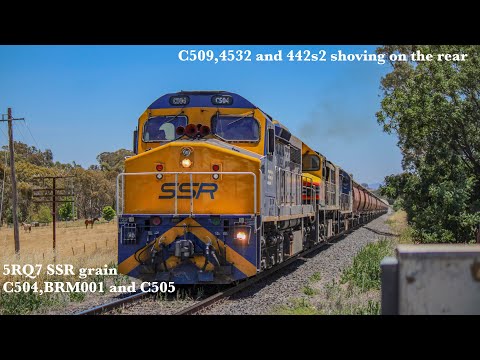 Australian Trains. Locomotives C504,BRM001,C505,C509,4532 and 442s2 working hard.