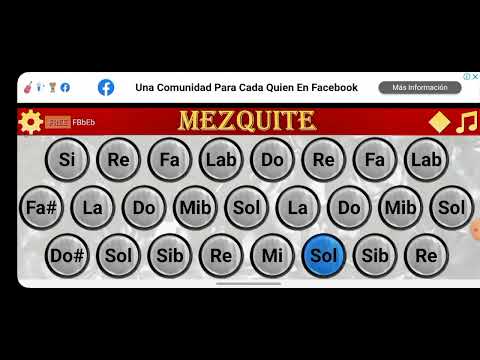 TUTORIAL DE CINTO ARMANI EN MEZQUITE