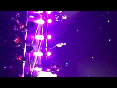 BTS 뱁새 Baepsae wild rabbit Hamilton 180920