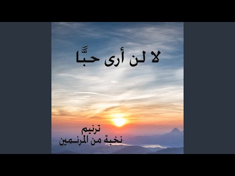 لا لن أرى حبّا