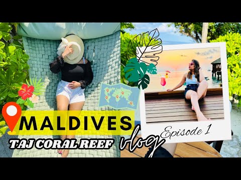 Videos del Taj Coral Reef Resort  Spa 5★ en Atolón de Malé Norte, MaldivasVer MásVerPrecios18CerrarConsulta por Whatsapp 🇦🇷BookingTripadvisorExpediaAgodaTravelocityOrbitzPricelineTripSkyscannerDespegarKayakHotelesDestiniaTrivagoAlmundoLastminuteTuiWotif