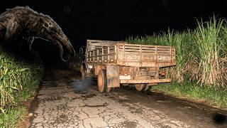 O FAROL ILUMINOU A BESTA NA ESTRADA DE MINAS