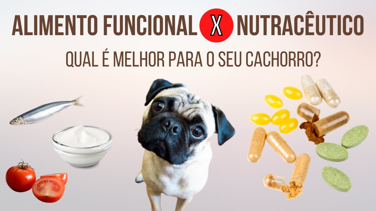 Alimento funcional X Nutracêutico. Você sabe a diferença? Qual é melhor para o seu cachorro?