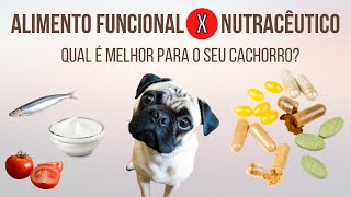 Alimento funcional X Nutracêutico. Você sabe a diferença? Qual é melhor para o seu cachorro?