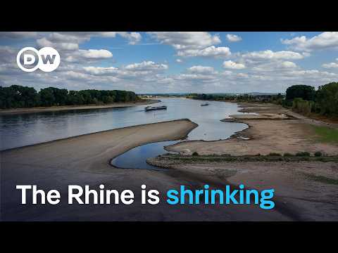 Why low Rhine water levels are a growing risk for Germany | DW News