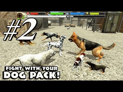 Stray Dog Simulator By Gluten Free Games - Android & iOS - Gameplay Part 2 - YouTube