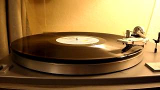 Pete Shelley - Homosapien