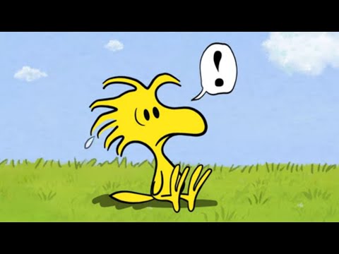 Woodstock and the Rain Cloud