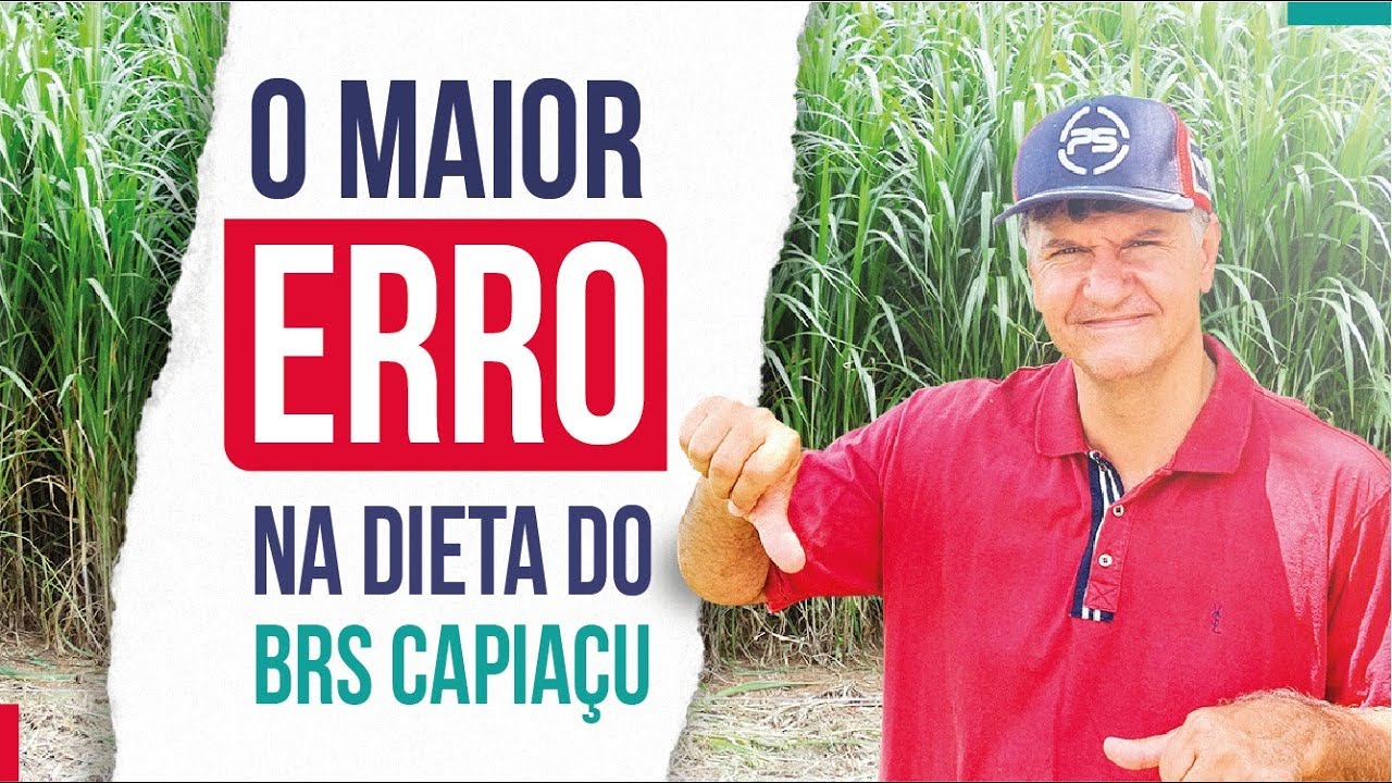 ⚠️ BRS CAPIAÇU - NÃO COMETA ESSE ERRO.