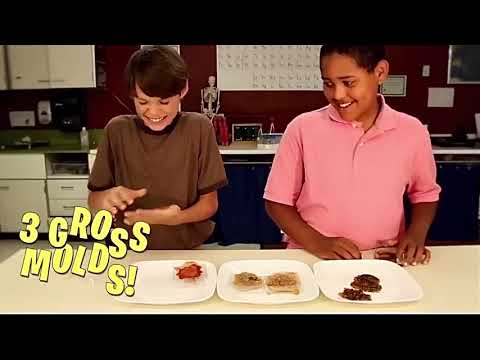 Youtube Video for That's Gross - Science Lab