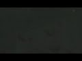 Resident Evil Kenneth S Film