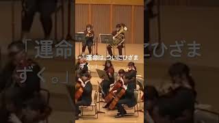 Download lagu チャイコフスキー交響曲第5番「第四楽章」より。苦悩と葛藤を乗り越え、運命の主題は壮麗な勝利の歌へと変貌します。全曲のドラマが凝縮された、圧倒的なクライマックスをぜひ。 mp3 Download lagu チャイコフスキー交響曲第5番「第四楽章」より。苦悩と葛藤を乗り越え、運命の主題は壮麗な勝利の歌へと変貌します。全曲のドラマが凝縮された、圧倒的なクライマックスをぜひ。 mp3