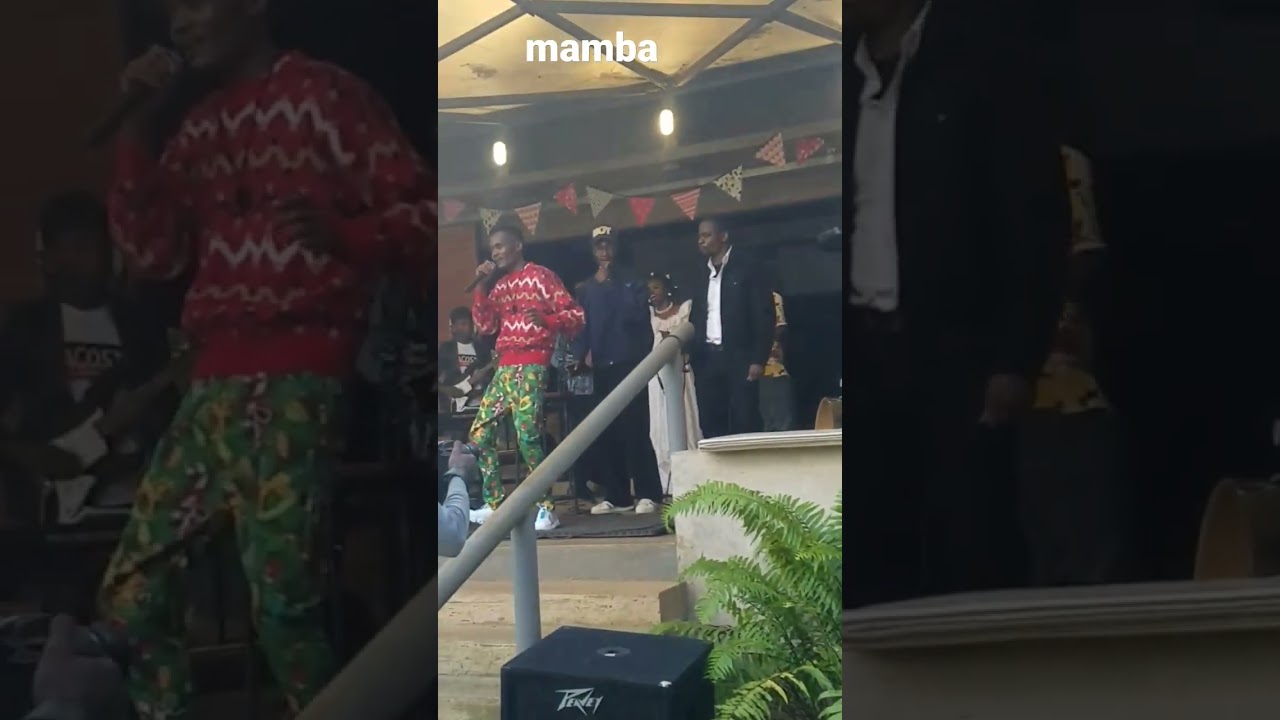 lokoloko live performance🐊🔥🔥🔥🔥🔥