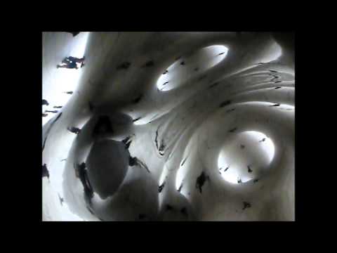 Taking you to the Bean (Anish Kapoor's Cloud gate)