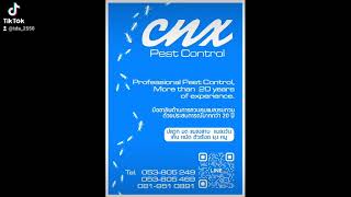 ซี.เอ็น.เอ็กซ์. กำจัดปลวก หจก. ซี.เอ็น.เอ็กซ์. กำจัดปลวก หจก.