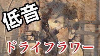 低音ボイスの俺が【ドライフラワー】歌ってみた