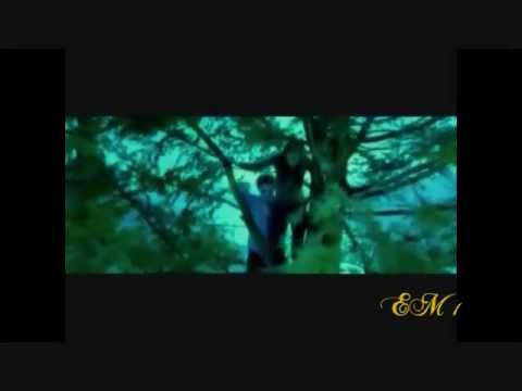 Edward/Bella (From Twilight to Breaking Dawn) Lost In Paradise {For SmallDragon7804}