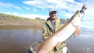 Рыбалка в начале ноября на иртыше