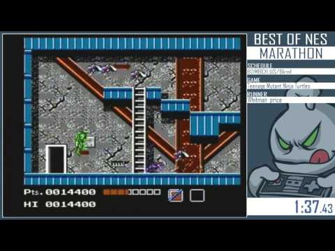 Best of NES Marathon 2015 - TMNT 1 & 2