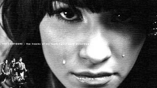 Tracks of My Tears Music Video
