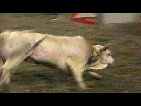 Grasshopper bucks Owen Washburn - 97 PBR Portland