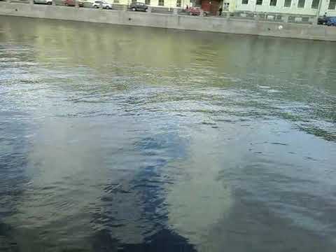 Набережная реки Фонтанки(Санкт-Петербург).Мысли вслух у Михайловского замка...🌞