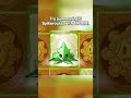 PVZ2's Spear-mint Makes The Game Too Easy...