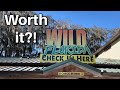 Wild Florida Drive Thru Safari And Gator Wildlife Park Orlando Review