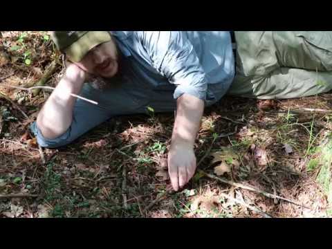 Partridge Berry -  Know your Resources