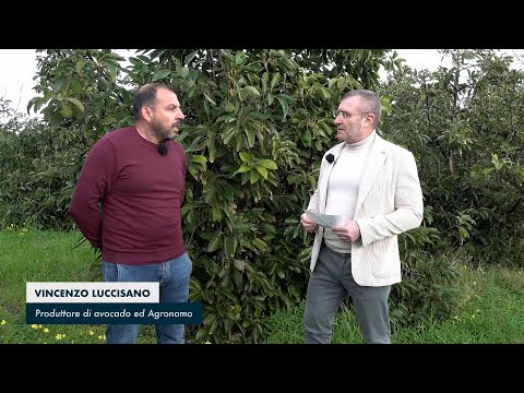 video media thumbnail