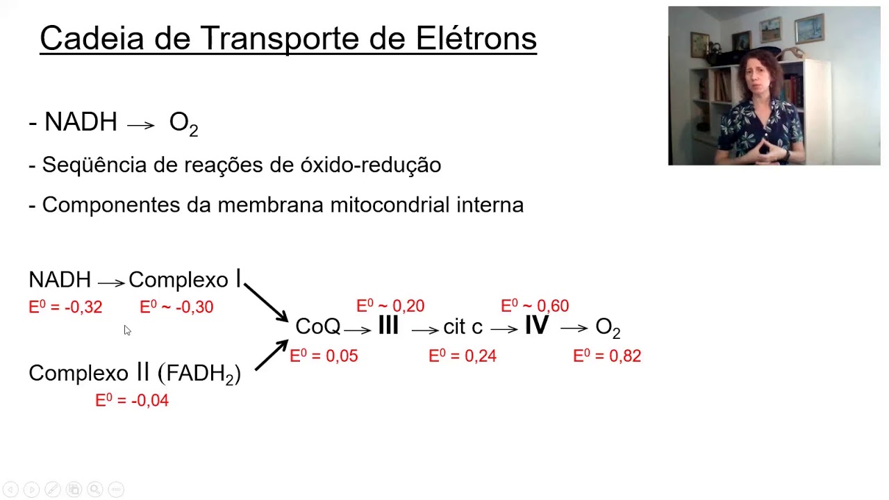 Fosforilação oxidativa: mecanismo