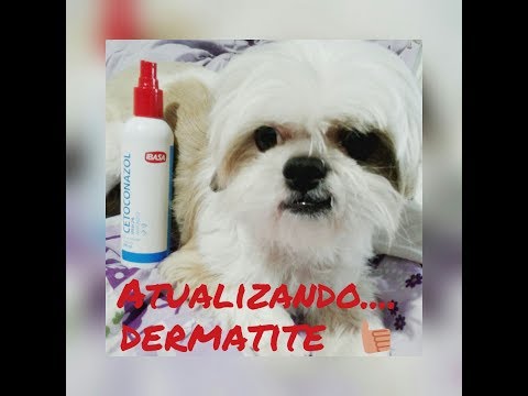 Risposte di radevit a dermatite atopic al bambino La psoriasi che sta anche si è gonfiata