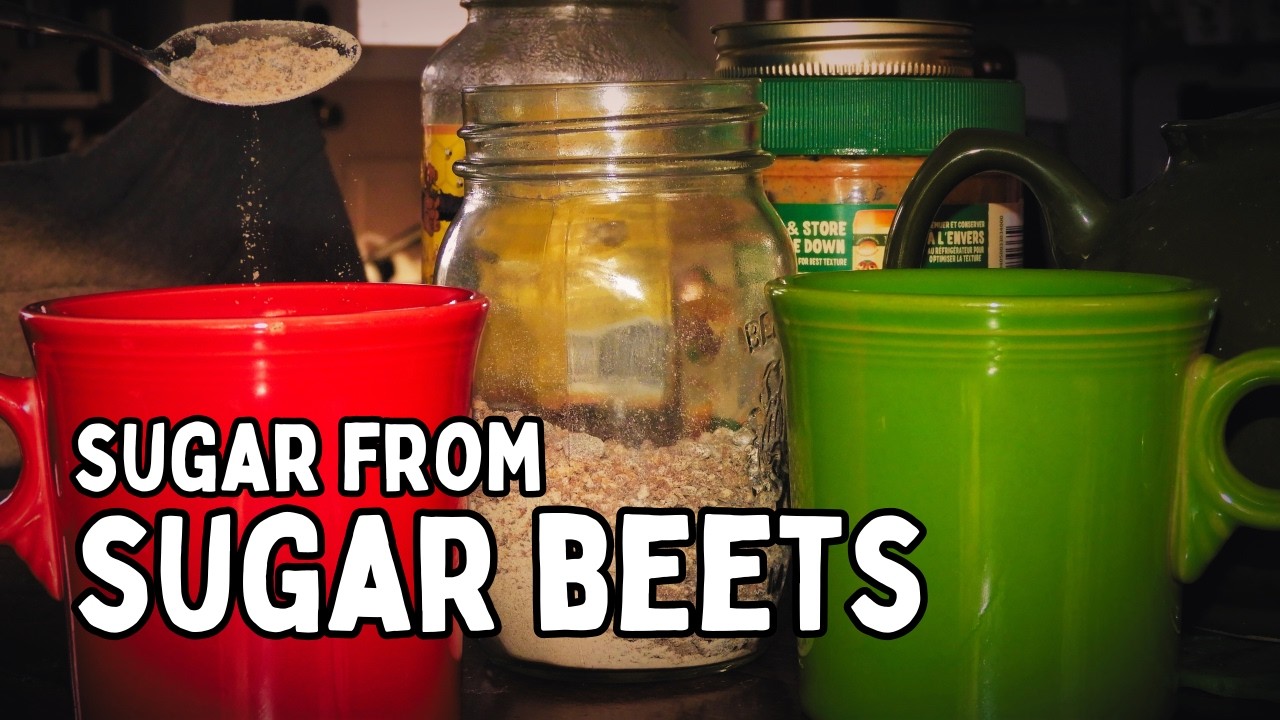 Making Sugar | from | Sugar Beets | Our First Time Making Sugar From Sugar Beets