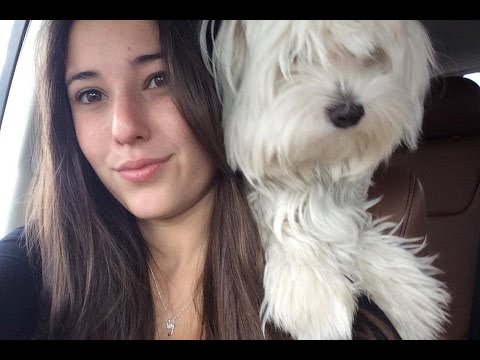 Who's the Boss? - Angie Varona and Bentley