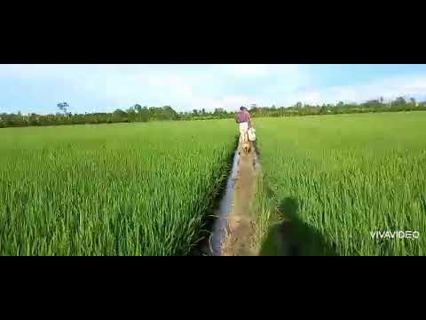 Thể hiện bởi Dương Đình Trí