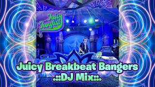 Download lagu Breakbeat Bangers | DJ Mix Live at Love Burn 2022 by Juicy Junglist mp3 Download lagu Breakbeat Bangers | DJ Mix Live at Love Burn 2022 by Juicy Junglist mp3