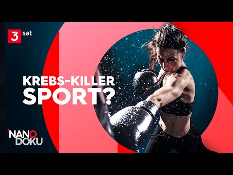Krebs vorbeugen: Warum Abnehmen Leben retten kann | NANO Doku