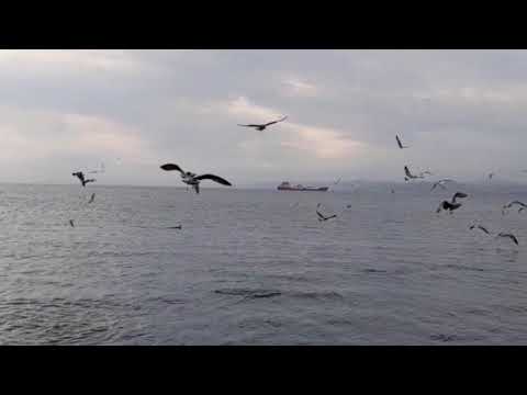 MUTLULUĞUN BAŞKENTİ: SİNOP